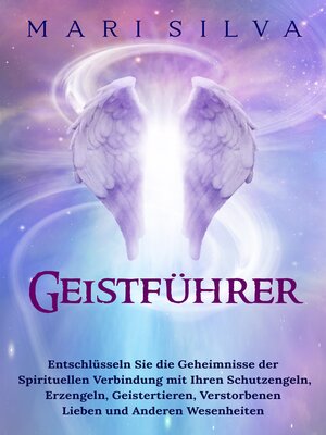 cover image of Geistführer